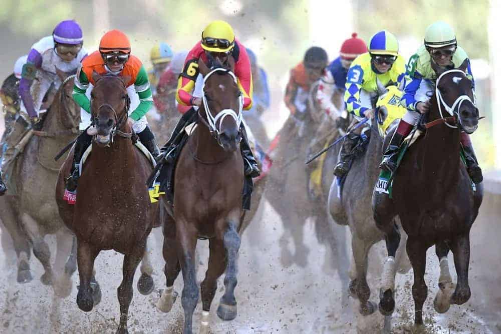 Including a look at Sandman, it's time to unveil our free Kentucky Derby expert picks, which also has a few Kentucky Derby bets that...
