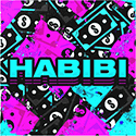 Expert Picks from Habibi Picks